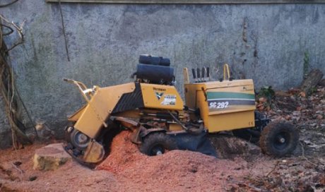 Rabotage de souche suite à un abattage par élagueur à Saint-Chamond 