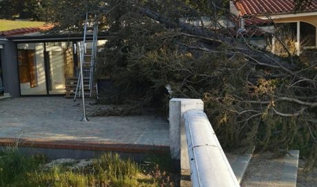 Acrobate élagage Rive-de-Gier - Abattage par démontage