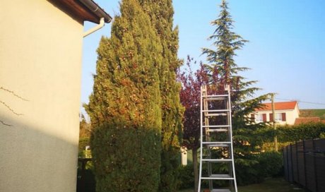 Acrobate élagage Rive-de-Gier - Taille d’arbustes et de haies